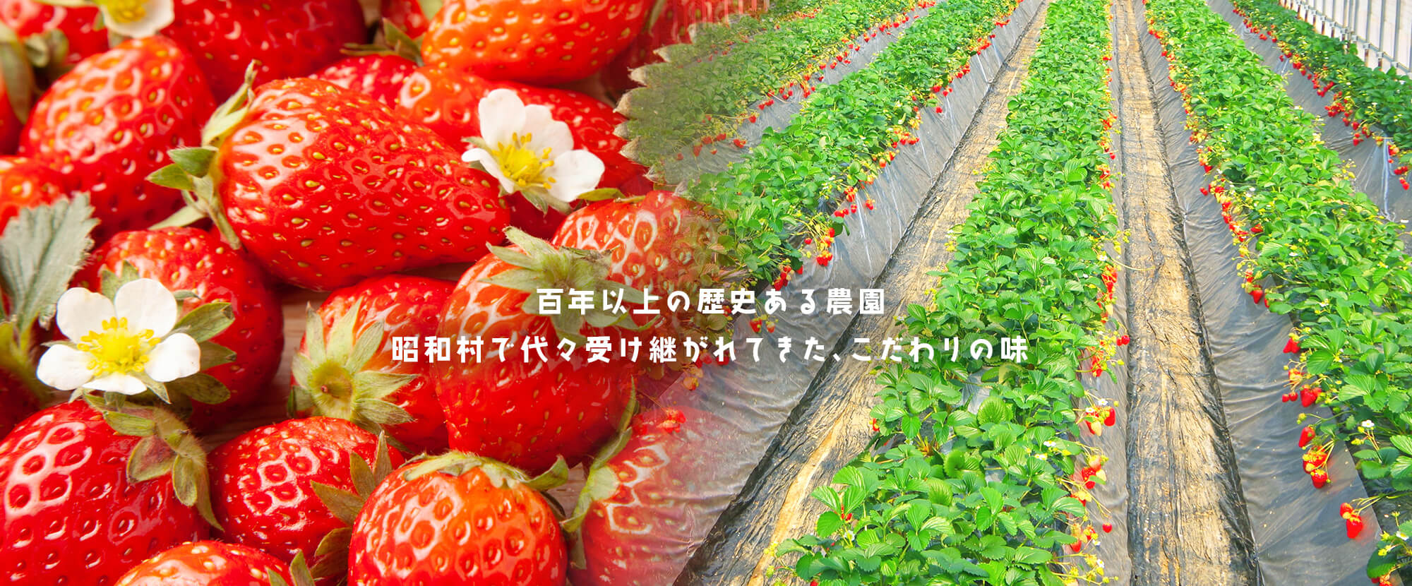 百年以上の歴史ある農園 昭和村で代々受け継がれてきたこだわりの味