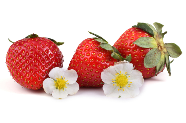 Strawberries and flowers isolated on white background